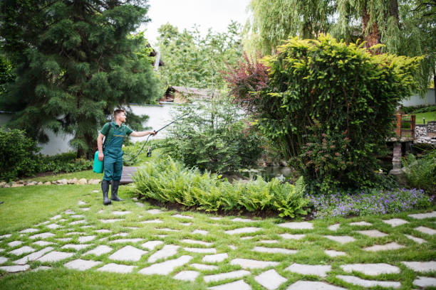 Best Pest Prevention Services  in Country Walk, FL